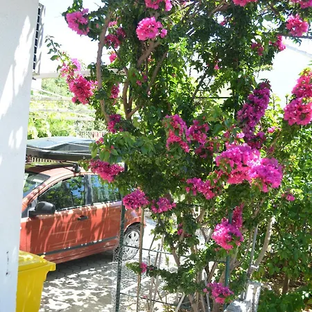 Apartmán Garden House *